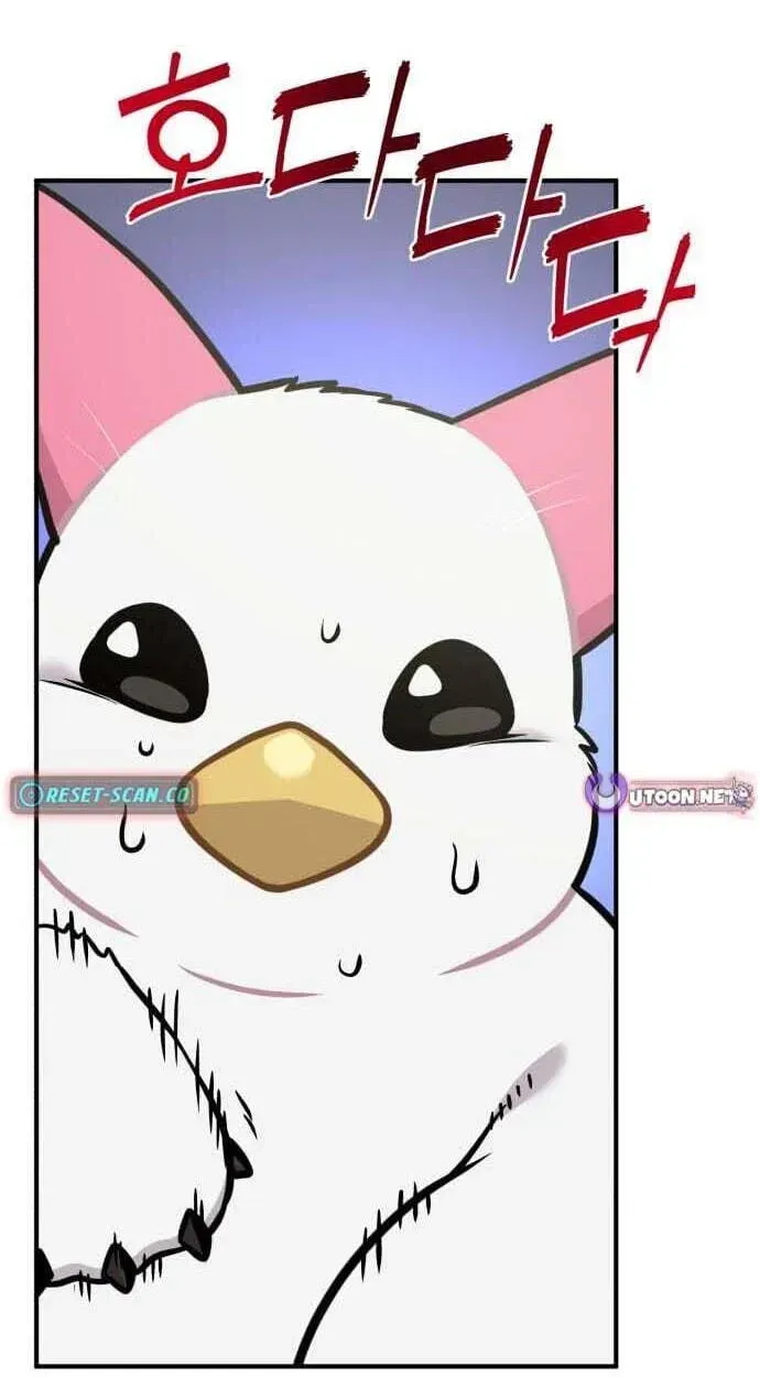 Hello, Griffin the Fluffy Bird! Chapter 50 page 3 - 