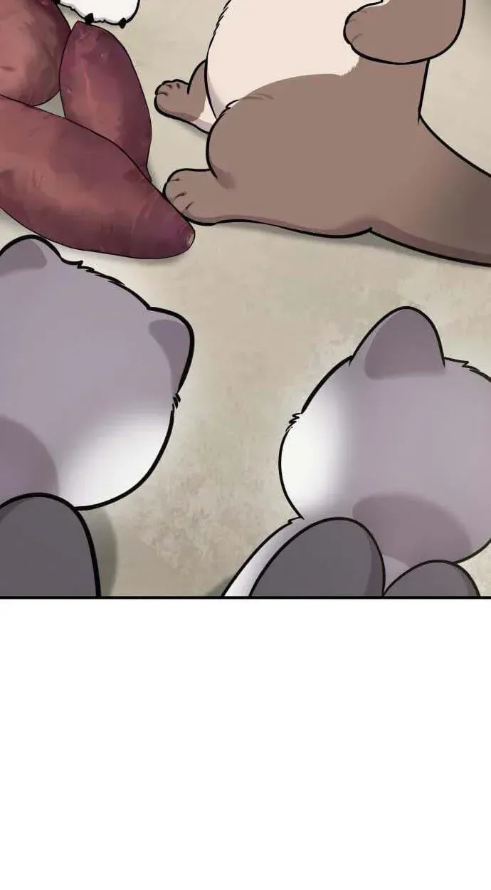 Hello, Griffin the Fluffy Bird! Chapter 50 page 68 - 
