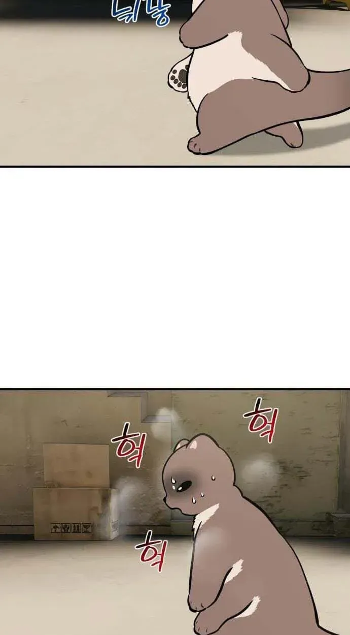 Hello, Griffin the Fluffy Bird! Chapter 50 page 73 - 