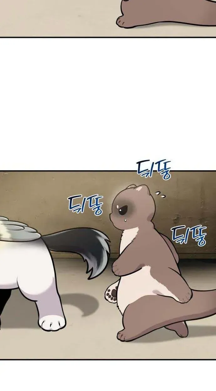 Hello, Griffin the Fluffy Bird! Chapter 50 page 74 - 