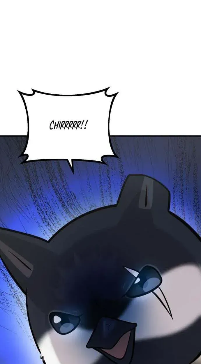 Hello, Griffin the Fluffy Bird! Chapter 50 page 77 - 