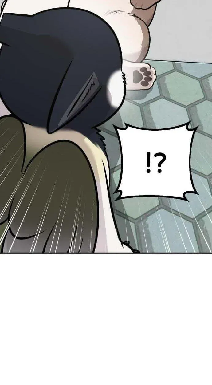 Hello, Griffin the Fluffy Bird! Chapter 50 page 83 - 