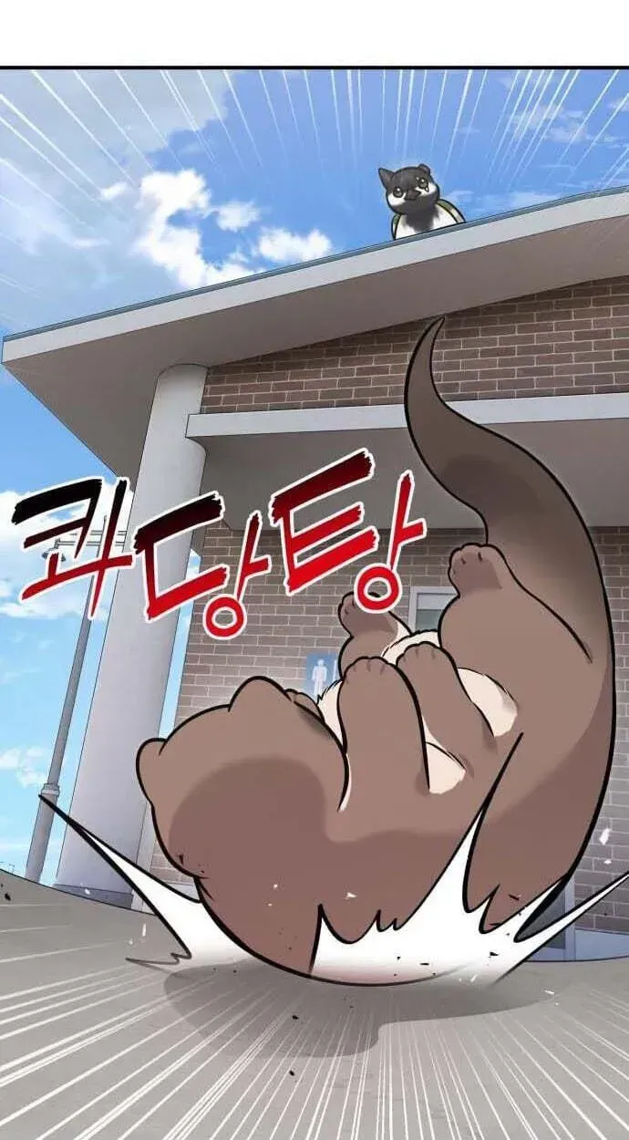 Hello, Griffin the Fluffy Bird! Chapter 50 page 84 - 
