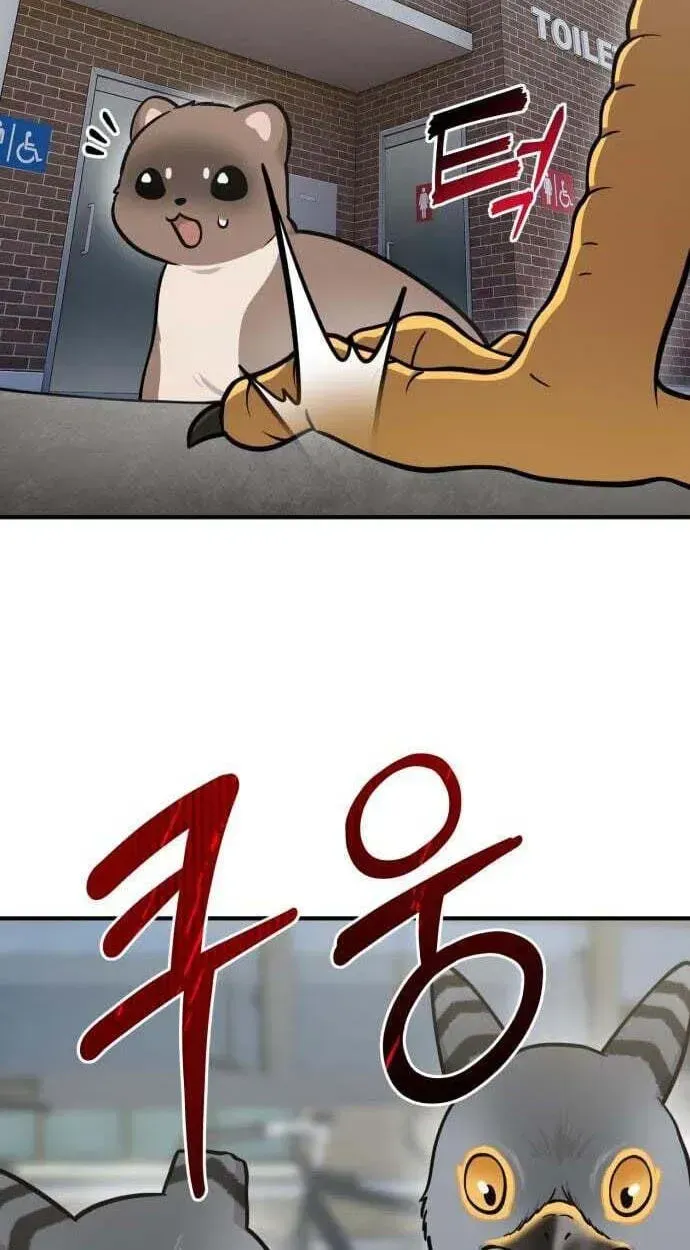 Hello, Griffin the Fluffy Bird! Chapter 50 page 88 - 