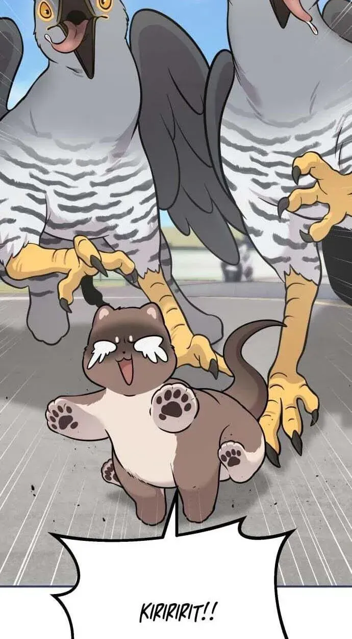 Hello, Griffin the Fluffy Bird! Chapter 50 page 92 - 
