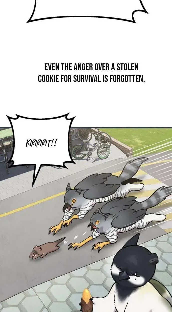 Hello, Griffin the Fluffy Bird! Chapter 50 page 93 - 