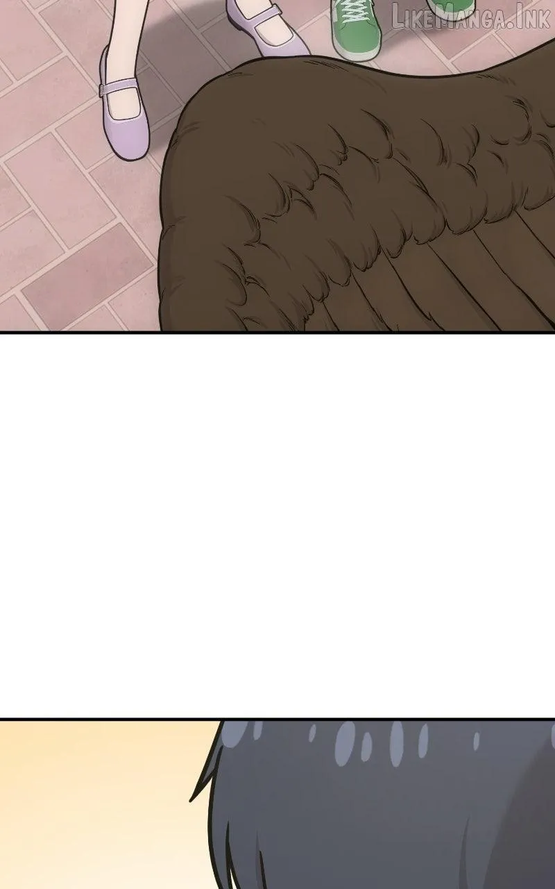 Hello, Griffin the Fluffy Bird! Chapter 52 page 39 - 
