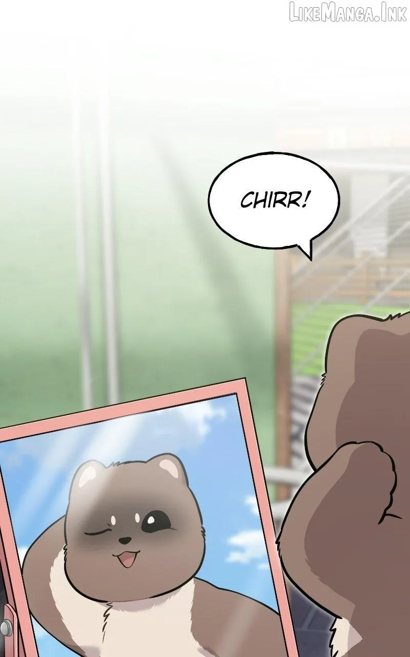 Hello, Griffin the Fluffy Bird! Chapter 52 page 63 - 