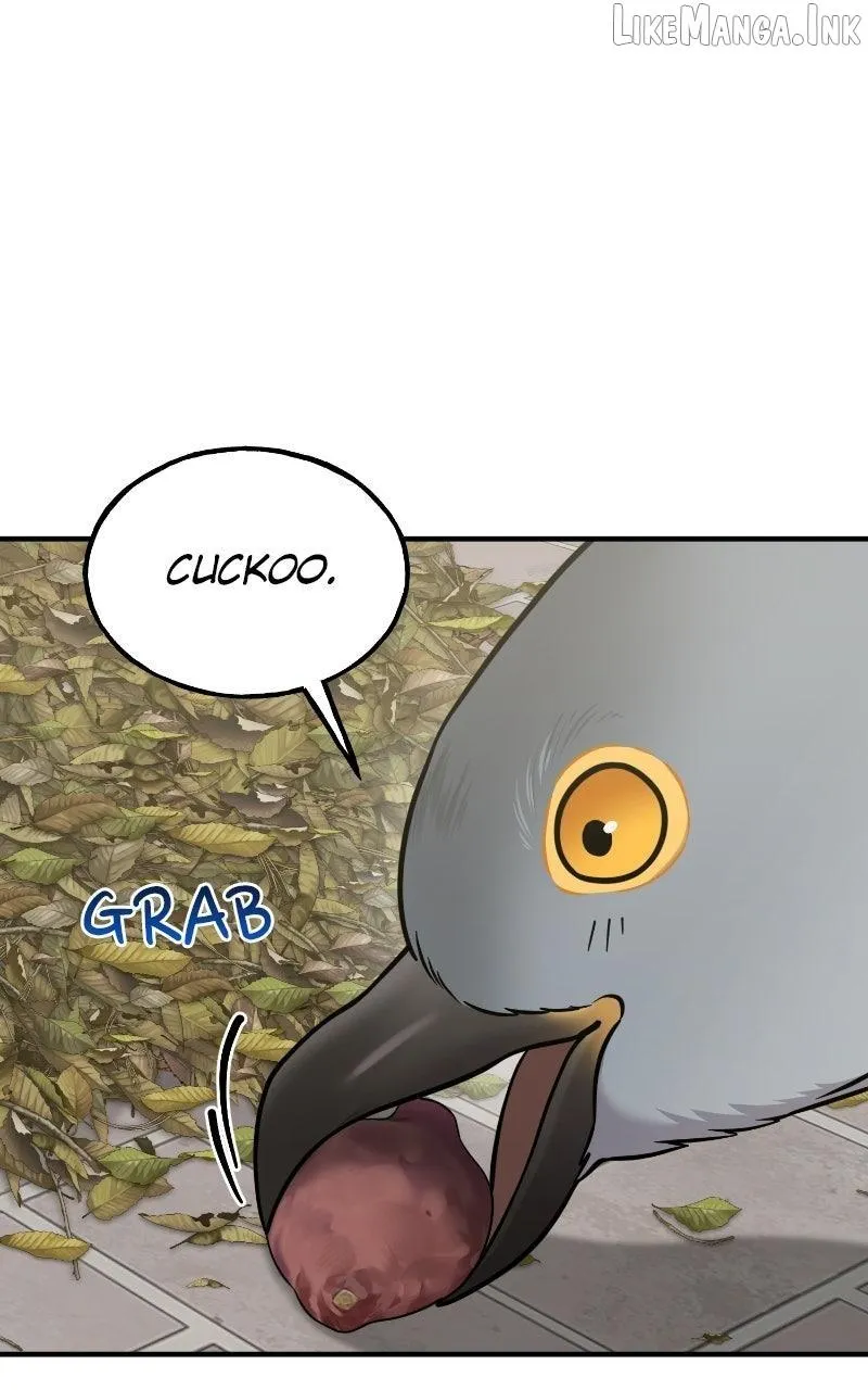 Hello, Griffin the Fluffy Bird! Chapter 52 page 71 - 
