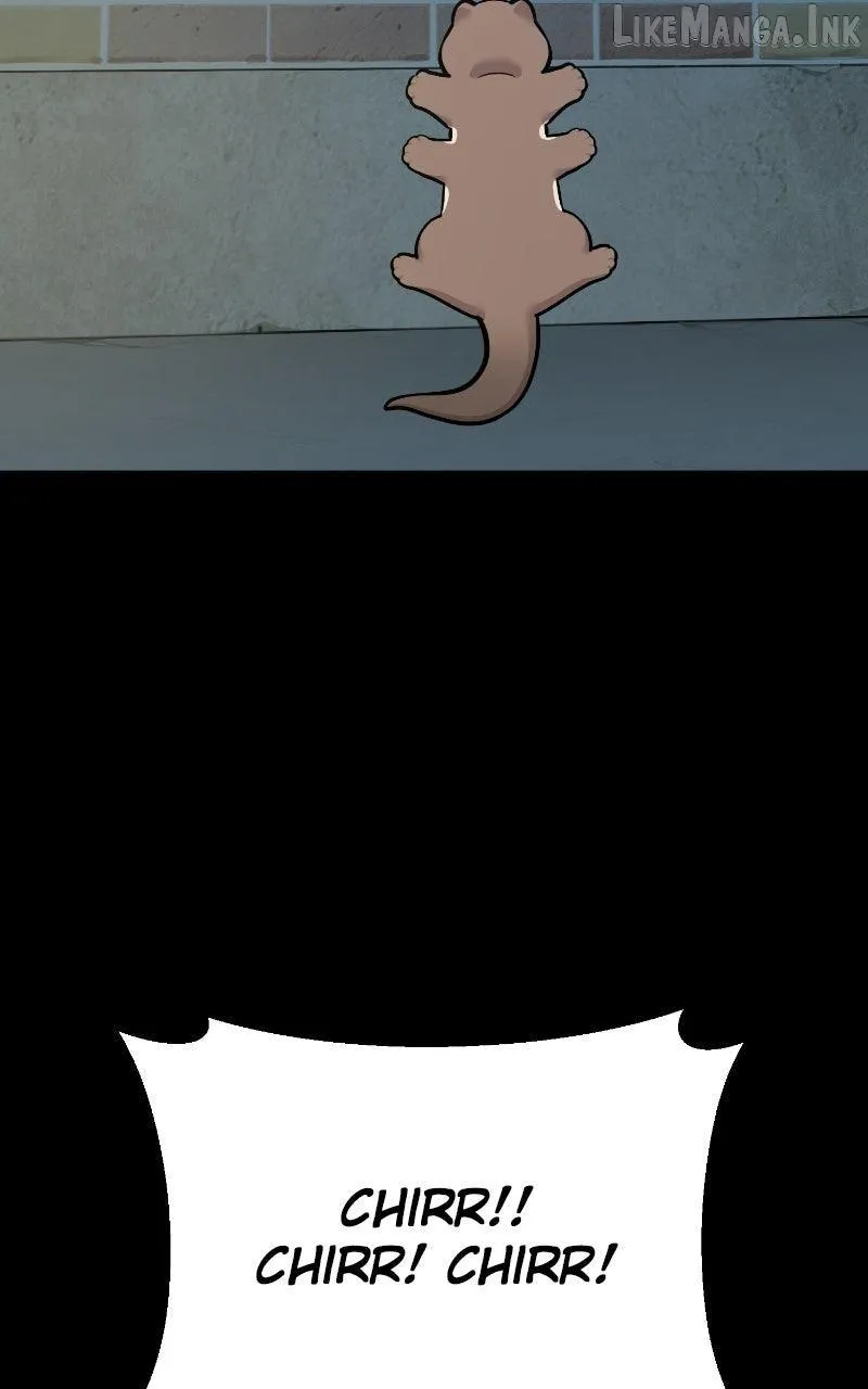 Hello, Griffin the Fluffy Bird! Chapter 52 page 86 - 