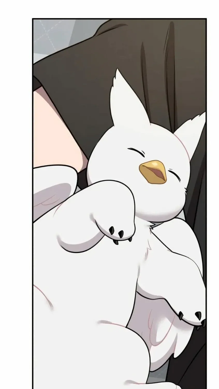Hello, Griffin the Fluffy Bird! Chapter 6 page 112 - 
