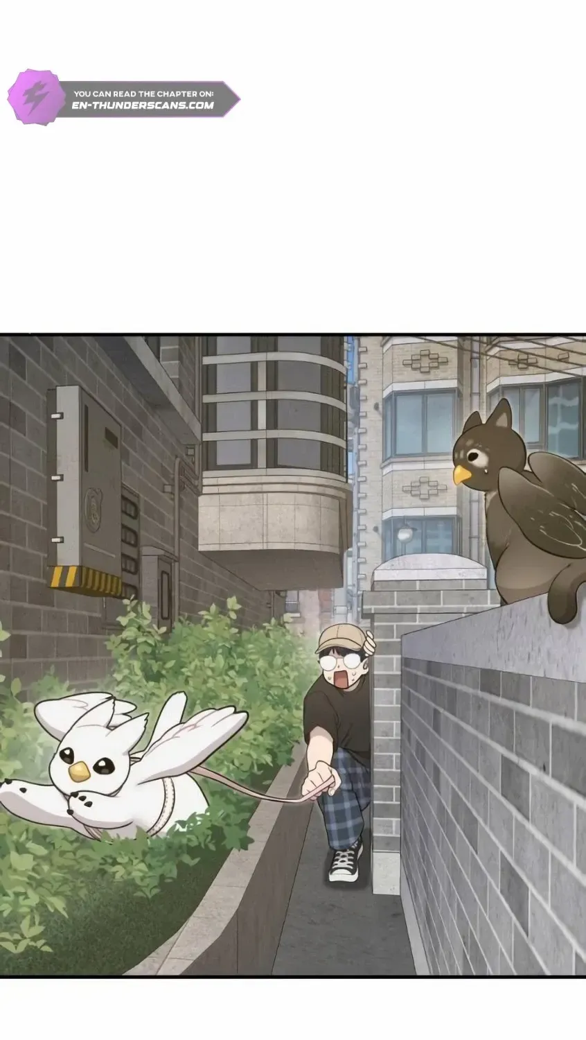 Hello, Griffin the Fluffy Bird! Chapter 6 page 32 - 