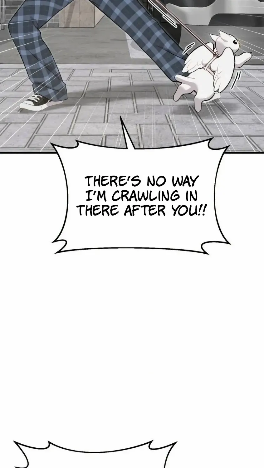 Hello, Griffin the Fluffy Bird! Chapter 6 page 36 - 