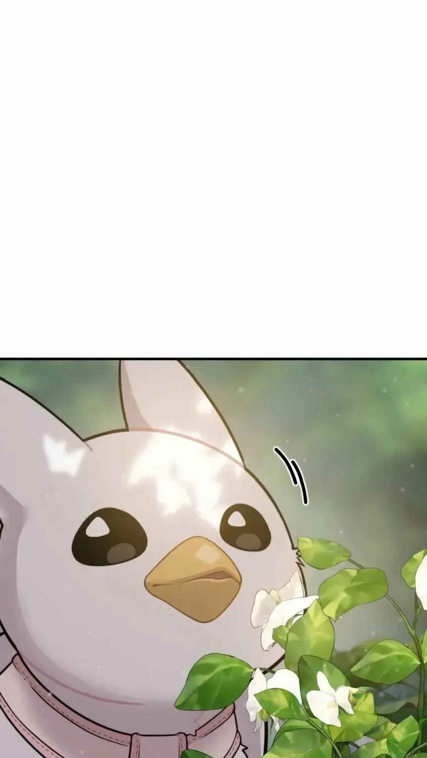 Hello, Griffin the Fluffy Bird! Chapter 6 page 88 - 