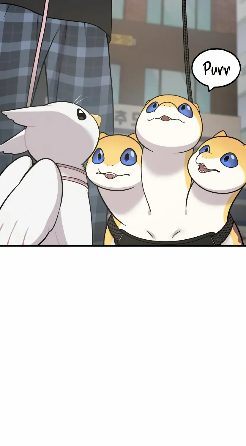 Hello, Griffin the Fluffy Bird! Chapter 7 page 31 - 