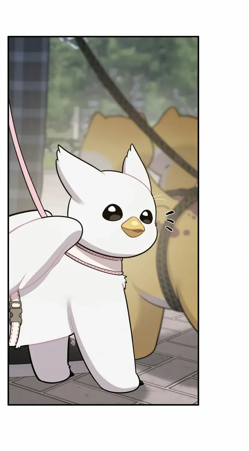 Hello, Griffin the Fluffy Bird! Chapter 7 page 32 - 