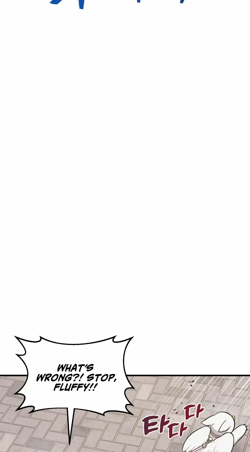 Hello, Griffin the Fluffy Bird! Chapter 7 page 36 - 