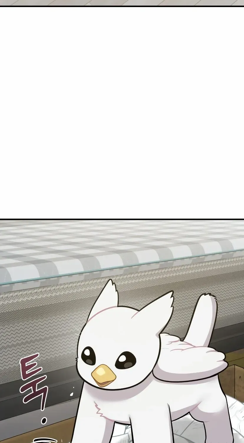 Hello, Griffin the Fluffy Bird! Chapter 7 page 91 - 
