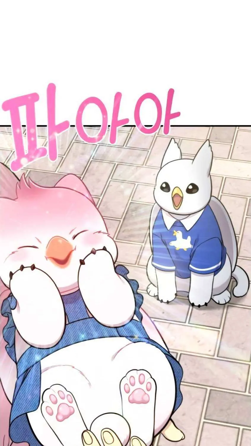Hello, Griffin the Fluffy Bird! Chapter 9 page 27 - 