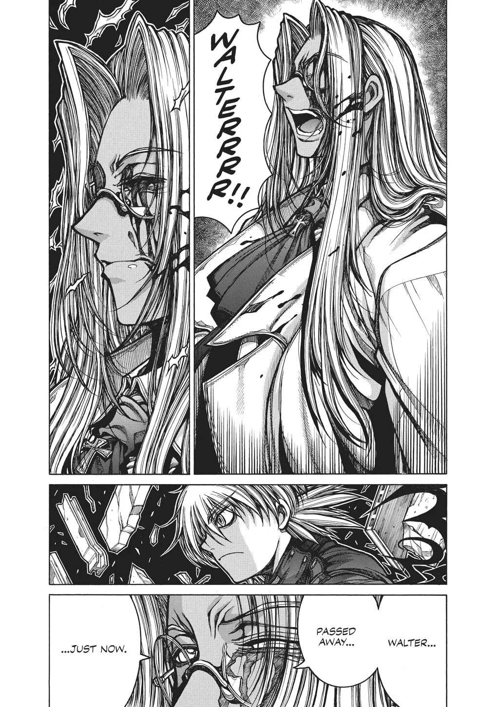 HELLSING Gaiden: THE DAWN Chapter 88 page 13 - 