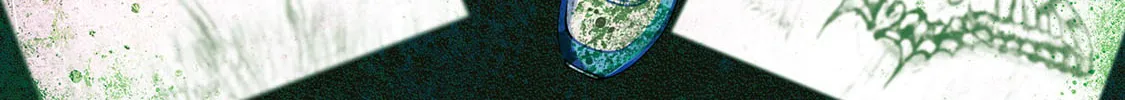 Hen na E Chapter 9 page 2 - 