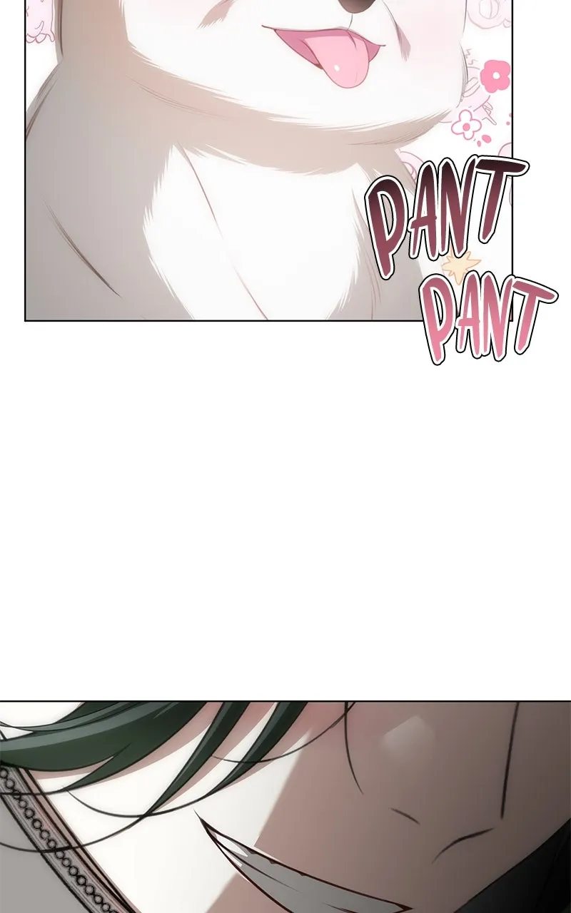 Her Tiny Highness,the Mastermind Chapter 24 page 71 - 