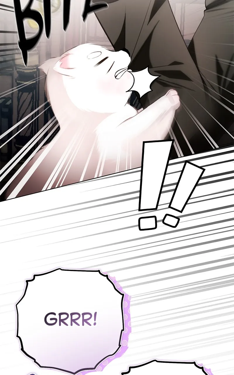 Her Tiny Highness,the Mastermind Chapter 26 page 10 - 