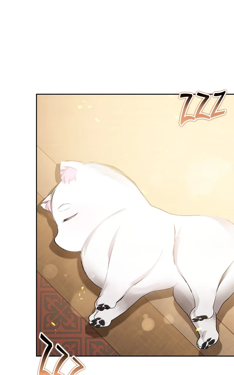 Her Tiny Highness,the Mastermind Chapter 27 page 1 - 