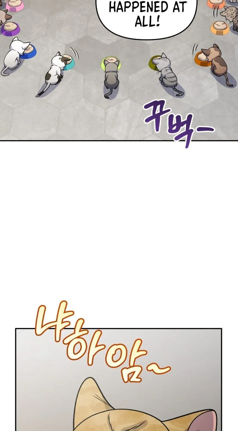 Hero's Diner Chapter 91 page 46 - 