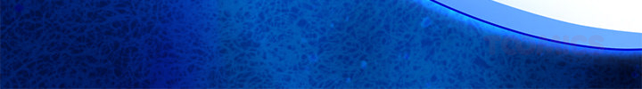 Hidden Class Chapter 47 page 86 - 