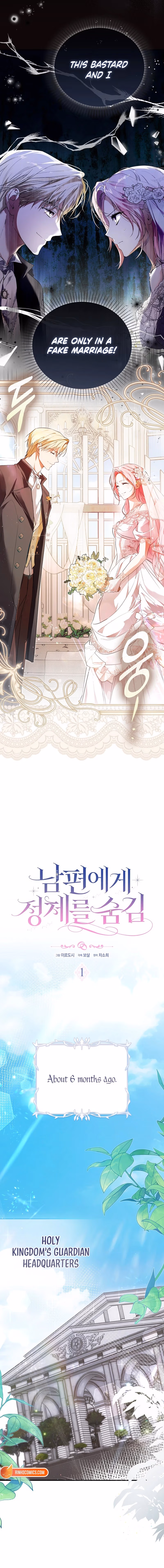 Hiding My Identity From My Husband Chapter 1 page 8 - 