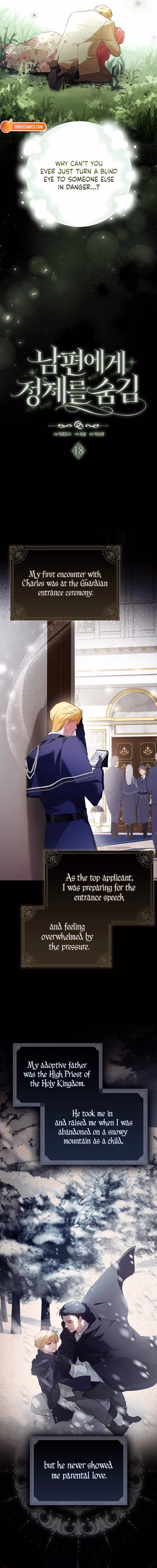 Hiding My Identity From My Husband Chapter 18 page 9 - 