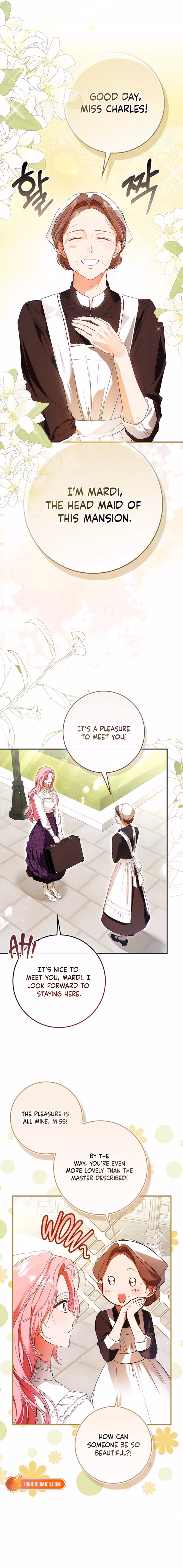 Hiding My Identity From My Husband Chapter 2 page 17 - 