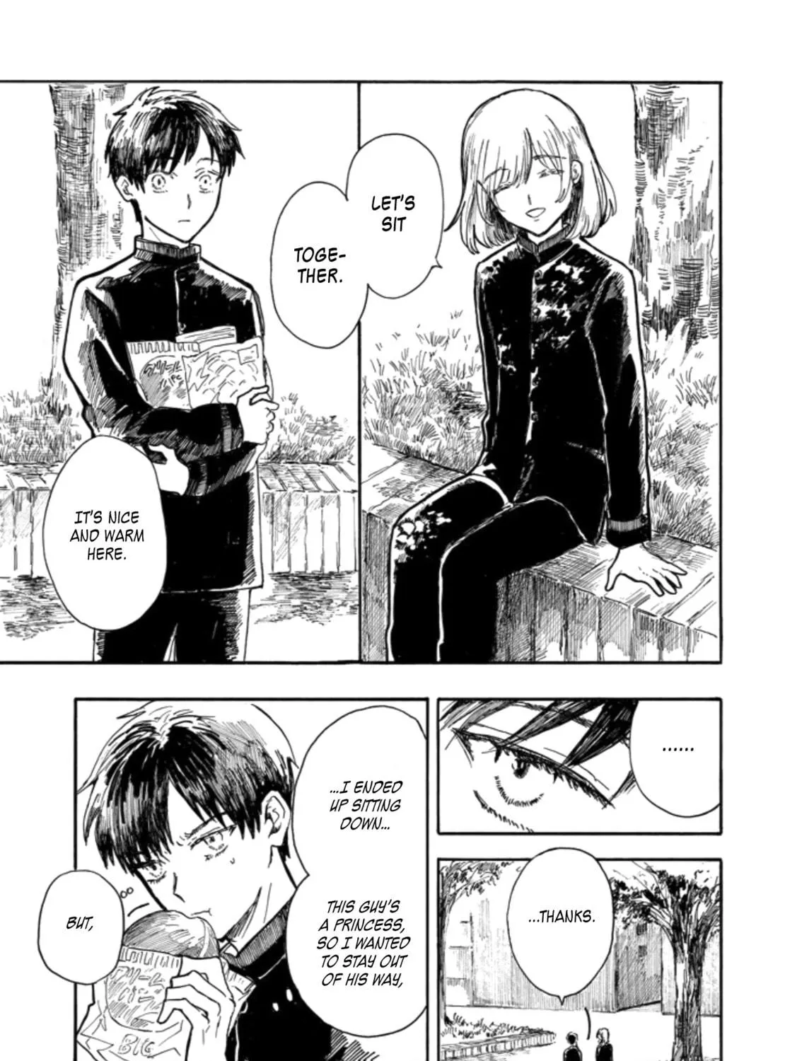Himeno-kun wa Hime ni Naritakunai Chapter 0 page 22 - 