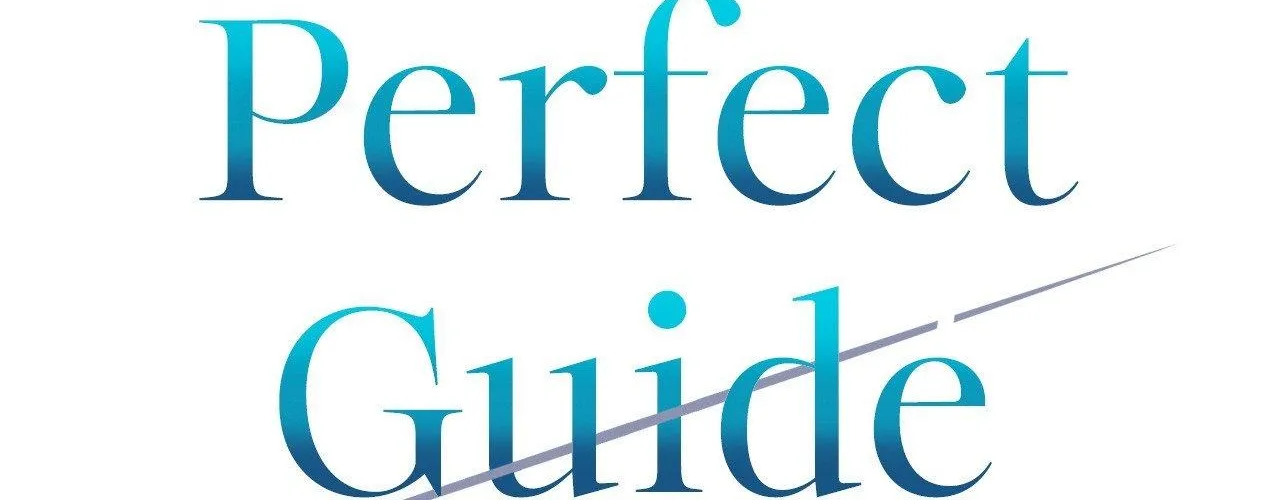 His Perfect Guide Chapter 26 page 41 - 