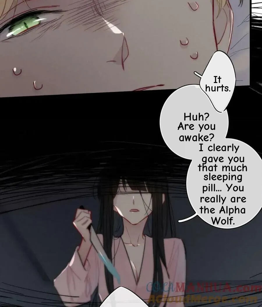 His Wolf Chapter 100 page 42 - 