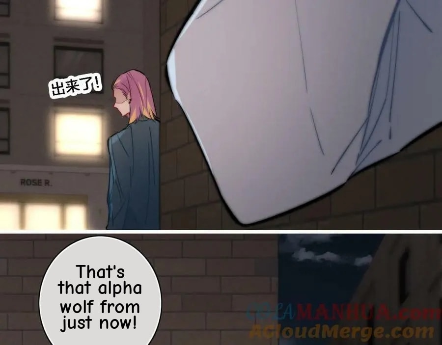 His Wolf Chapter 108 page 48 - 