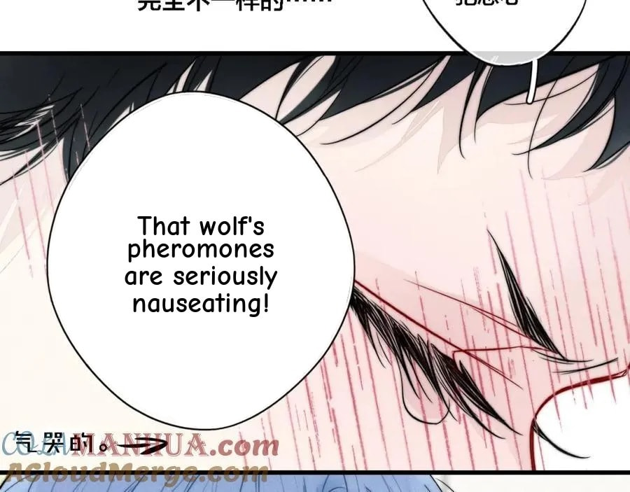 His Wolf Chapter 113 page 38 - 