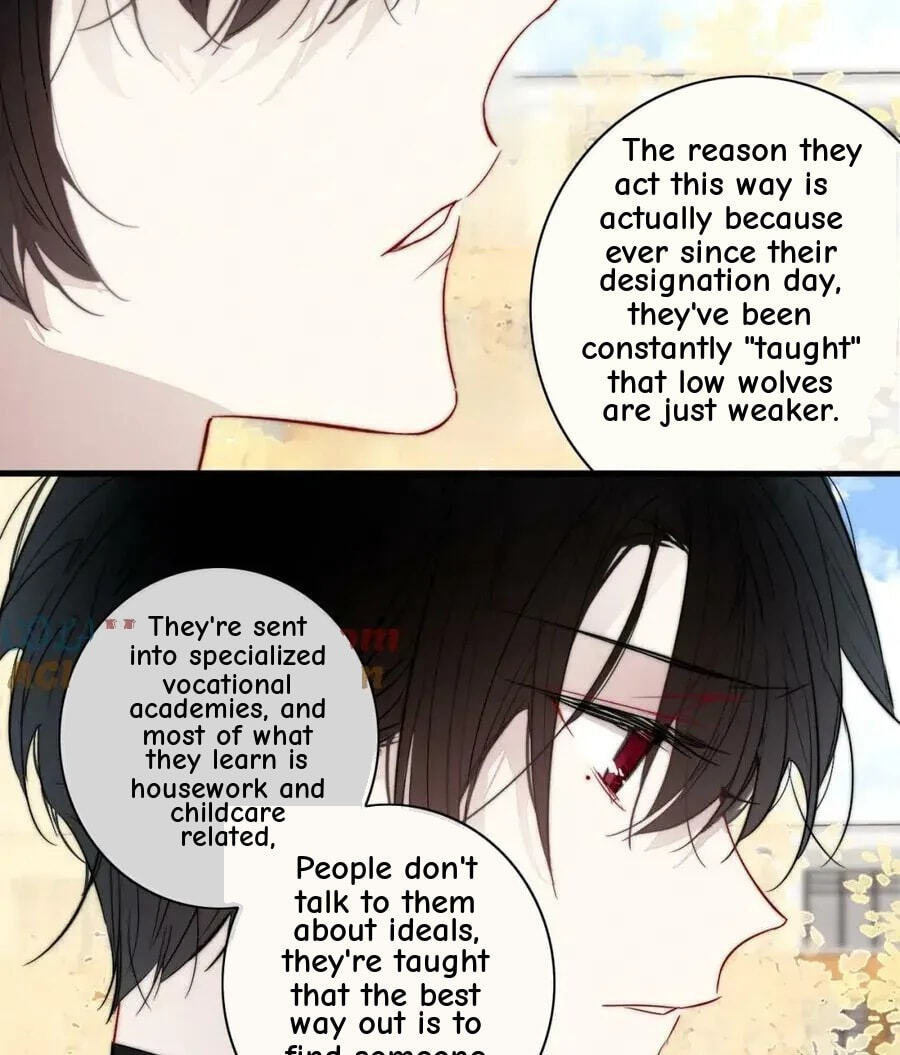 His Wolf Chapter 99 page 36 - 