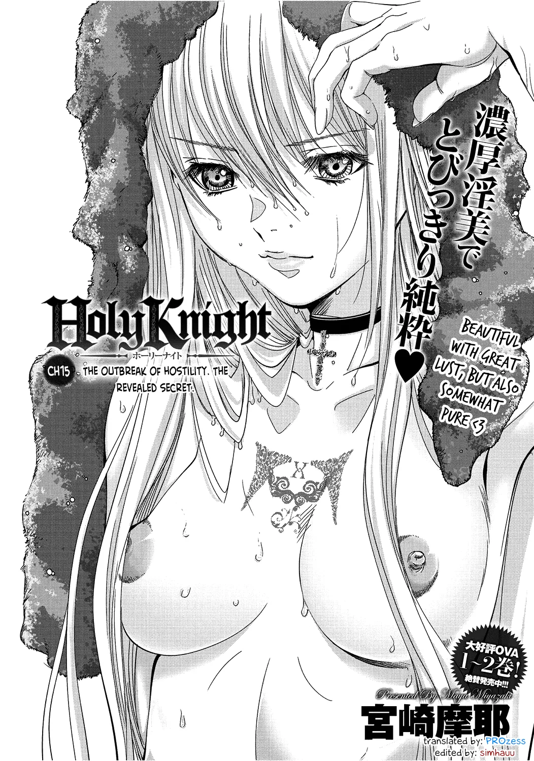 Holy Knight Chapter 15 page 1 - 