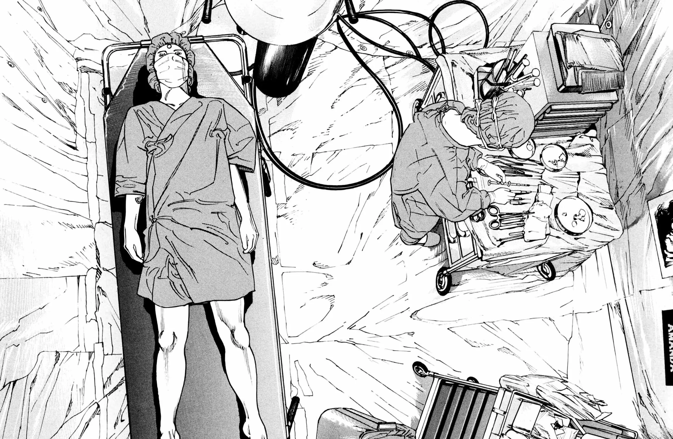 Homunculus Chapter 1 page 247 - 