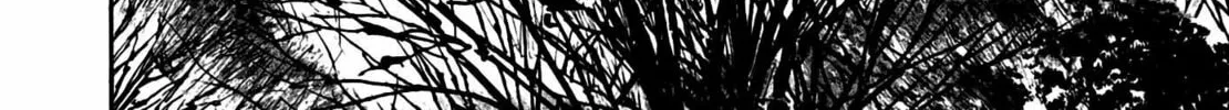 Homunculus Chapter 10 page 272 - 
