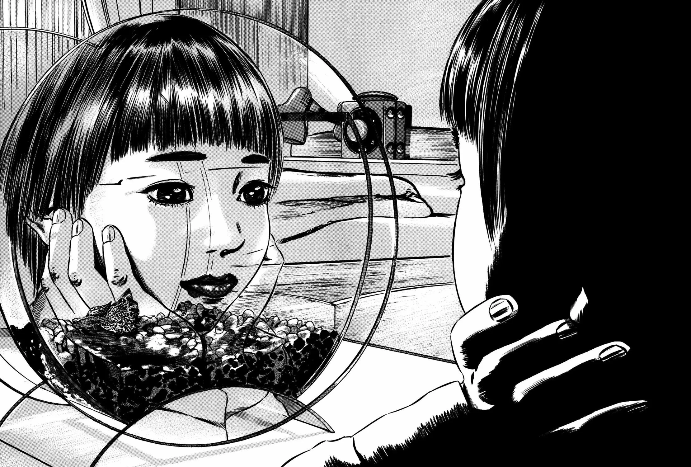 Homunculus Chapter 10 page 337 - 