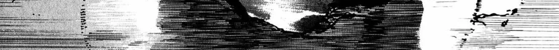 Homunculus Chapter 10 page 380 - 