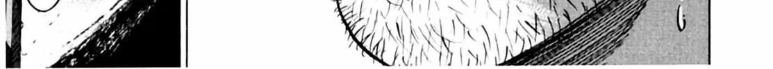 Homunculus Chapter 2 page 252 - 