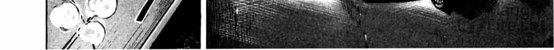 Homunculus Chapter 2 page 348 - 