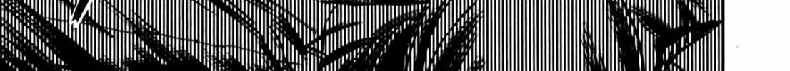 Homunculus Chapter 2 page 350 - 