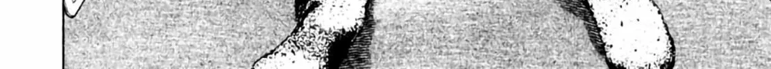 Homunculus Chapter 3 page 246 - 