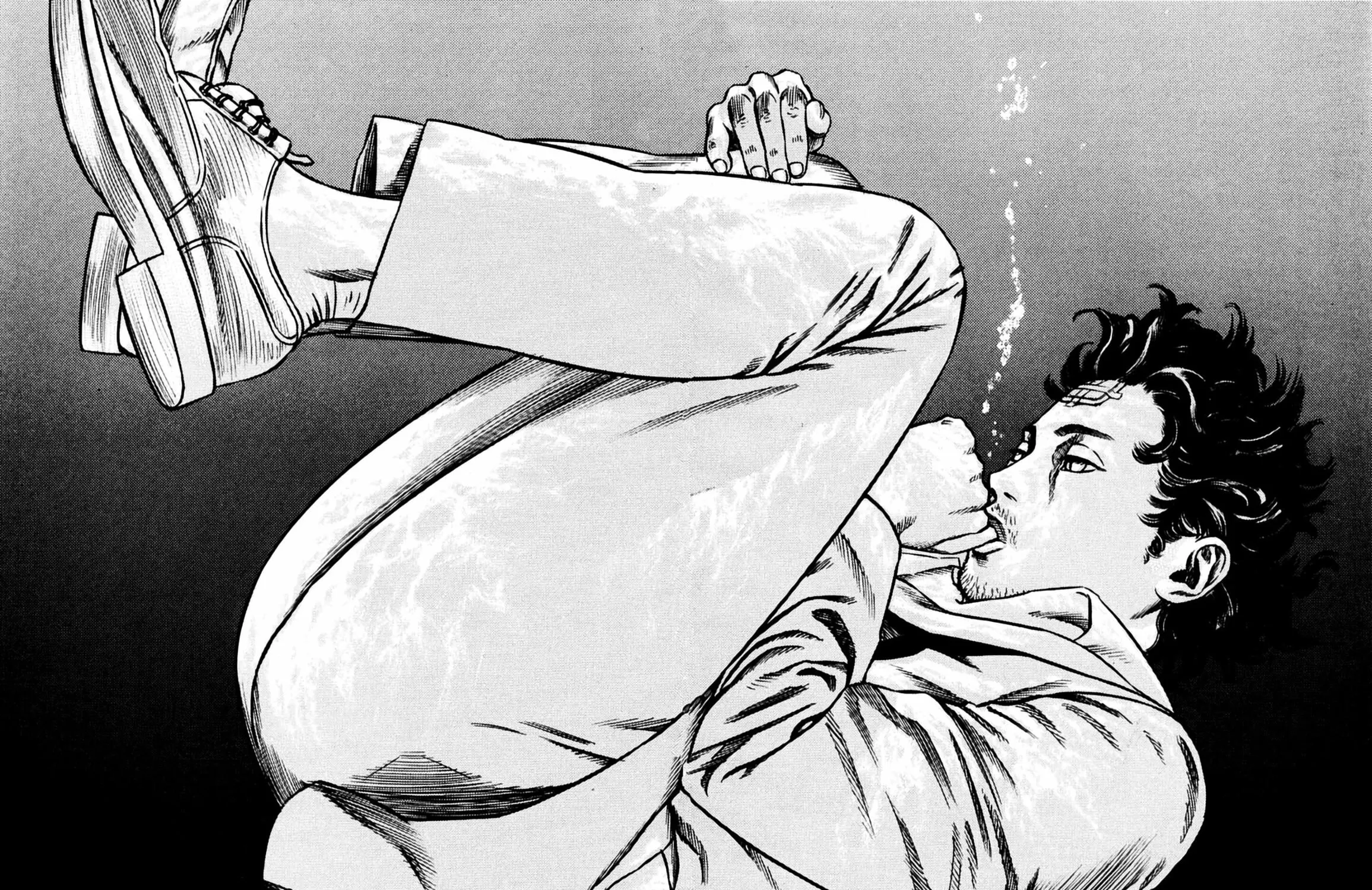 Homunculus Chapter 6 page 249 - 