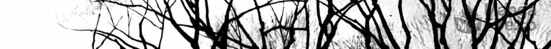 Homunculus Chapter 6 page 394 - 